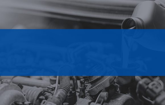 BLOG DE ACEITES Y GRASAS